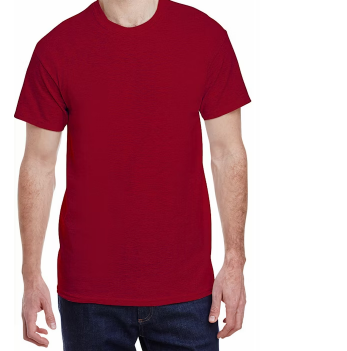 Forbidden Forest National Park graphic tee